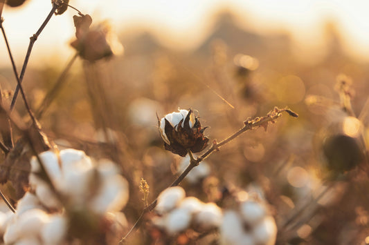 What’s in Your Clothes? A Guide to Fabric Choices for Comfort, Durability &amp; Sustainability